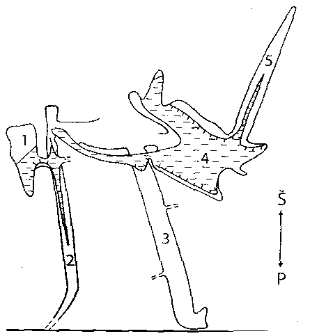 Cow's Hole's scheme